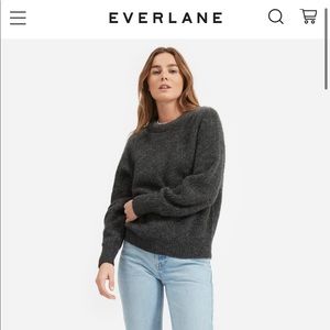 Everlane oversized alpaca crew